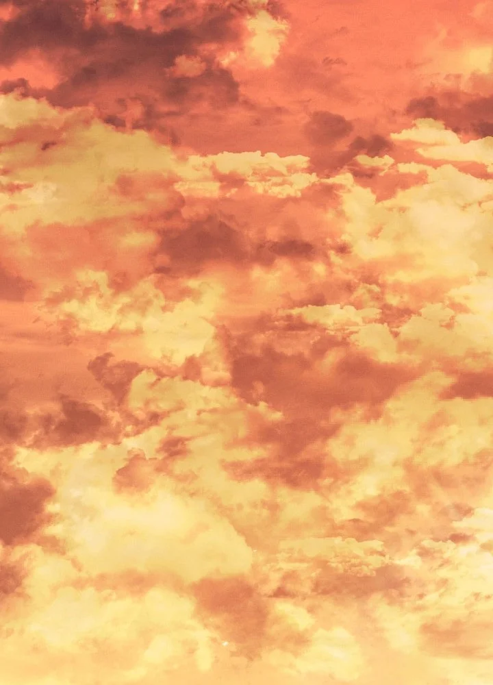 Grim Reaper of the Drifting Moon Chapter 95 Fix Gambar 51